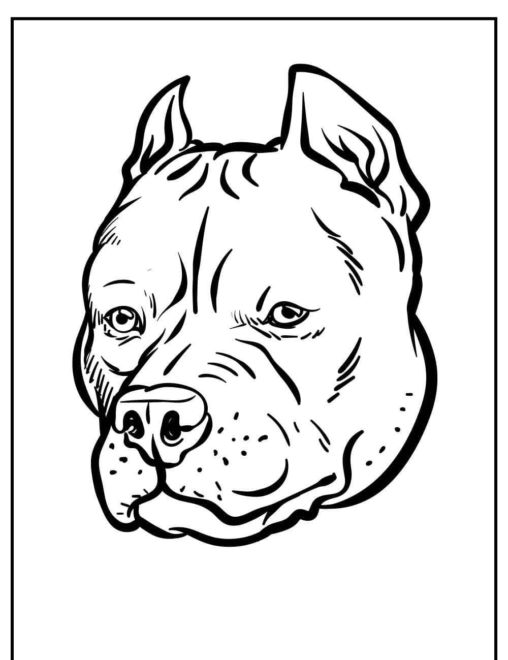 Raskrasil.com-Pitbill-Coloring-Pages-16