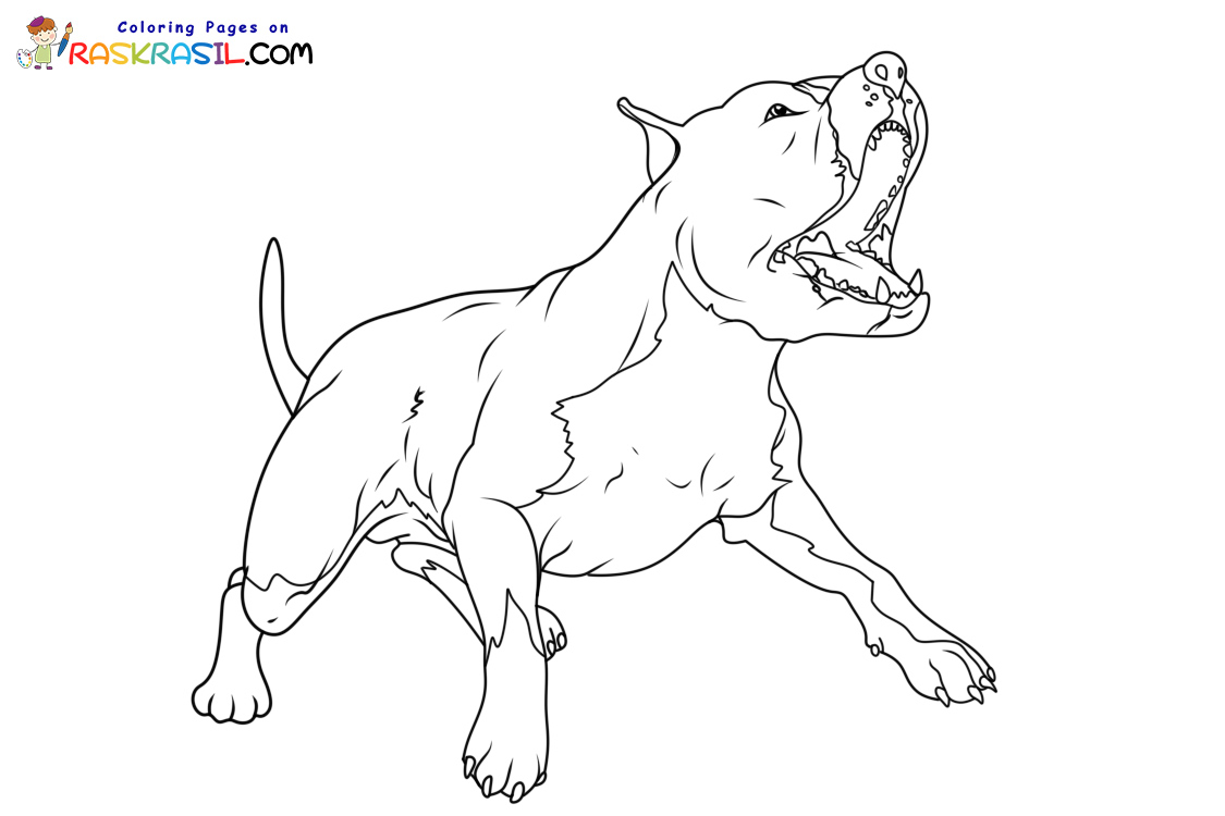 Raskrasil.com-Pitbill-New-Coloring-Pages-10