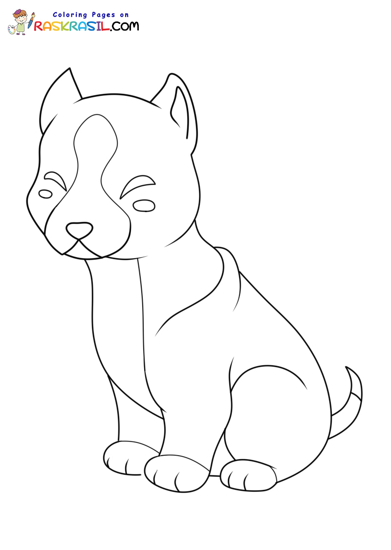 Raskrasil.com-Pitbill-New-Coloring-Pages-3