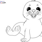 Raskrasil.com-Seal-New-Coloring-Pages-10