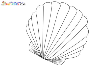Seashell Coloring Pages
