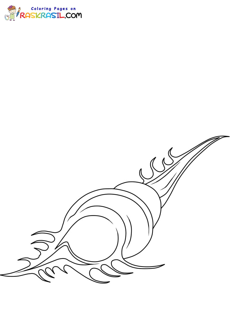 Raskrasil.com-Seashell-New-Coloring-Pages-3