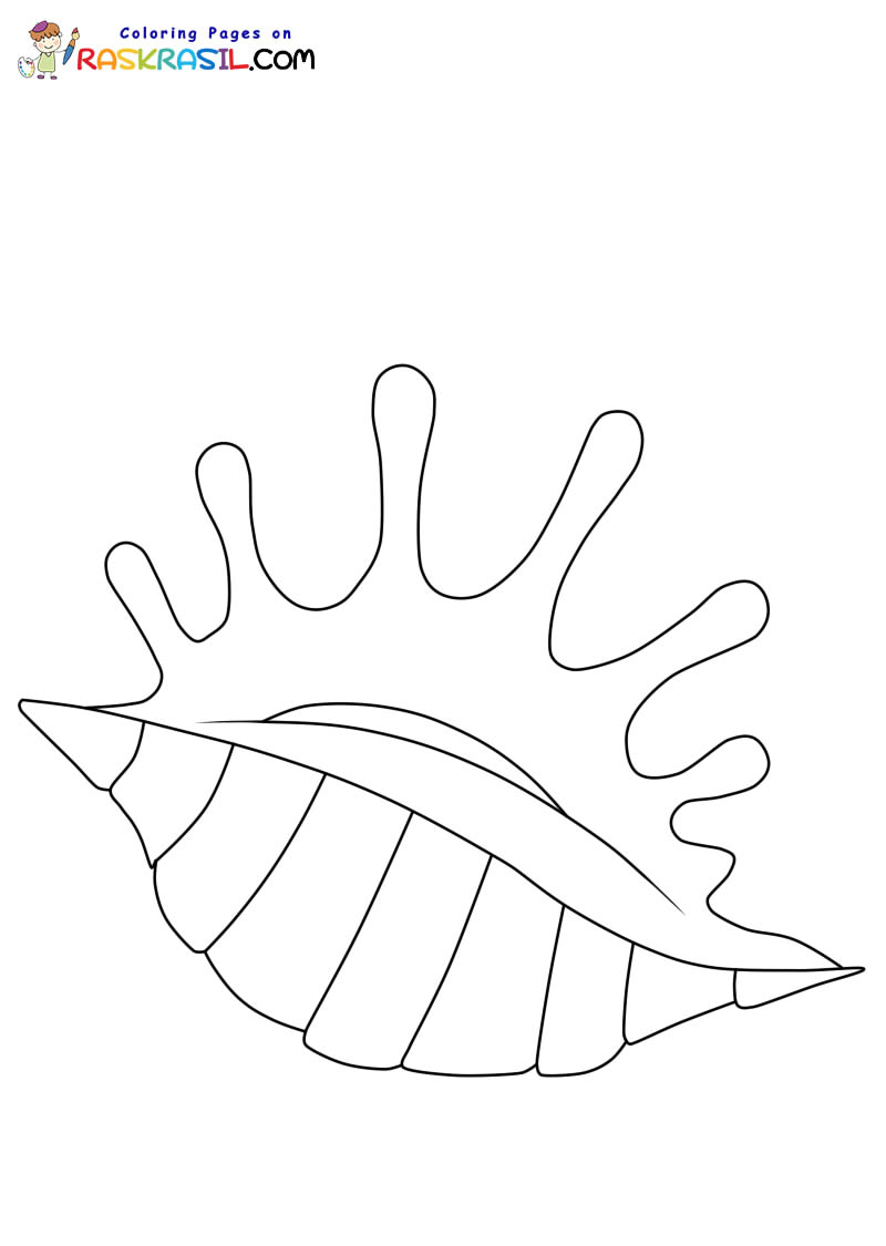 Raskrasil.com-Seashell-New-Coloring-Pages-5