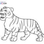 Raskrasil.com-Tiger-New-Coloring-Pages-7