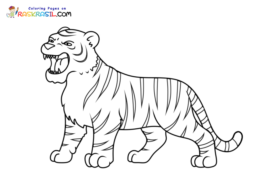 Raskrasil.com-Tiger-New-Coloring-Pages-7