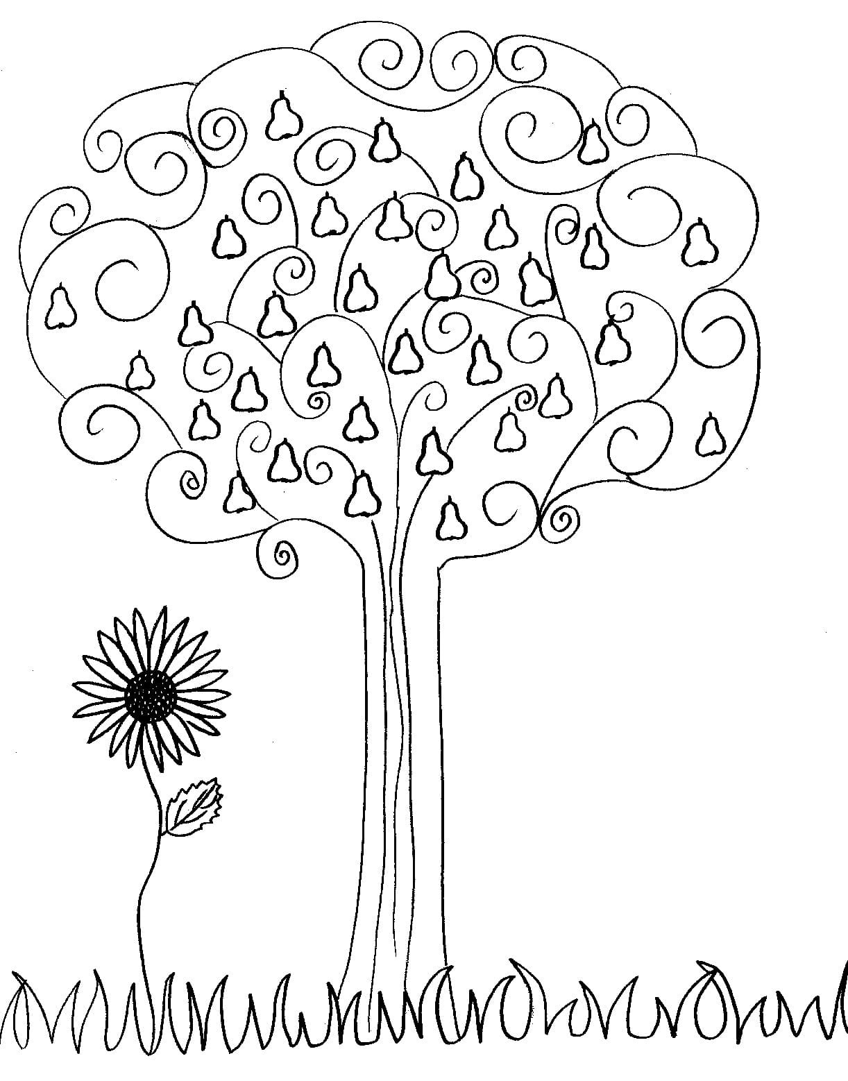 Raskrasil.com-Trees-Coloring-Pages-1