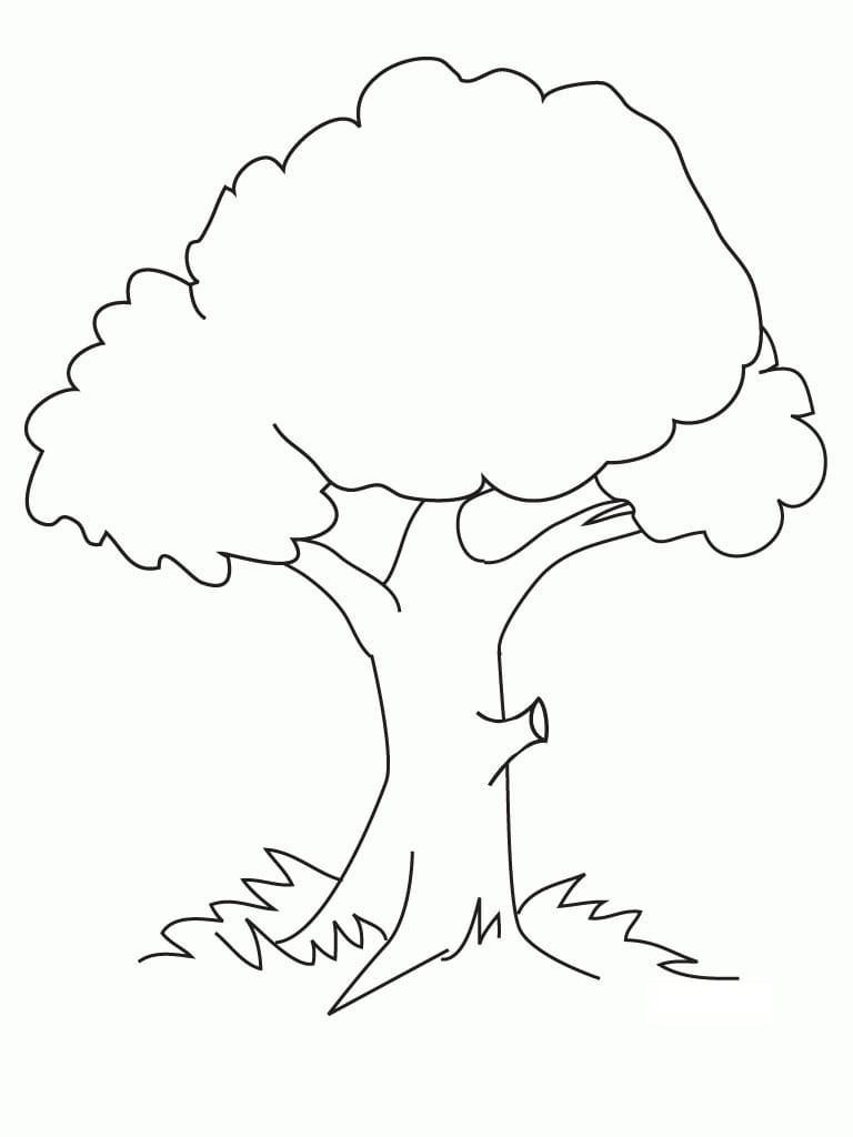 Raskrasil.com-Trees-Coloring-Pages-66