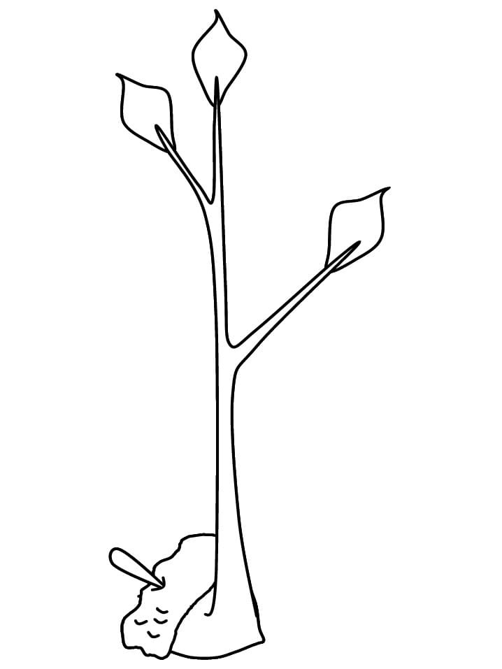 Raskrasil.com-Trees-Coloring-Pages-72
