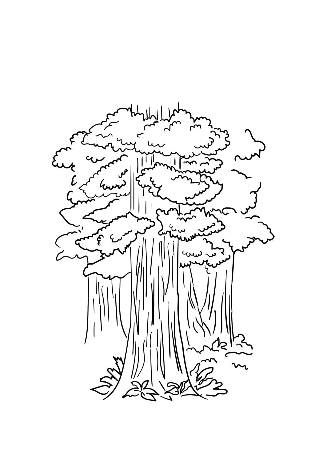 Raskrasil.com-Trees-Coloring-Pages-9
