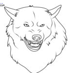 Raskrail.com-Wolf-New-Coloring-Pages-10