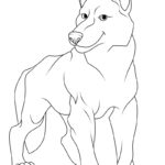 Raskrail.com-Wolf-New-Coloring-Pages-3