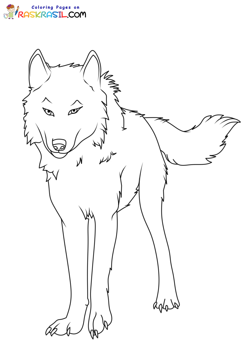 Raskrail.com-Wolf-New-Coloring-Pages-5