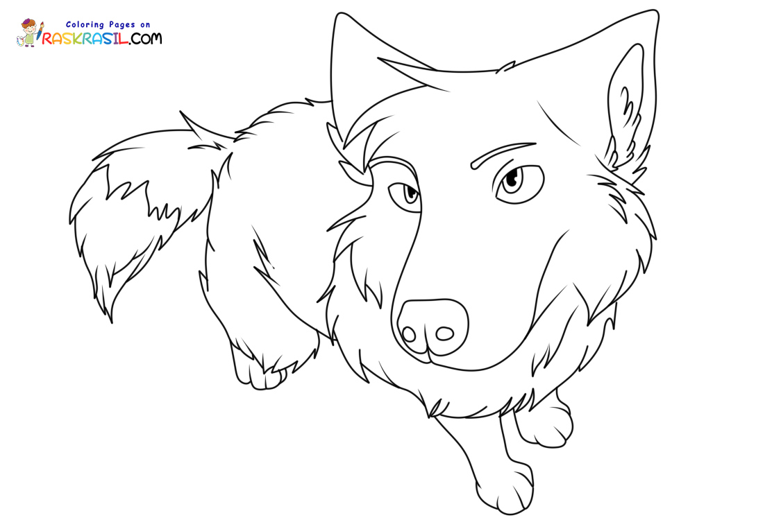 Raskrail.com-Wolf-New-Coloring-Pages-6
