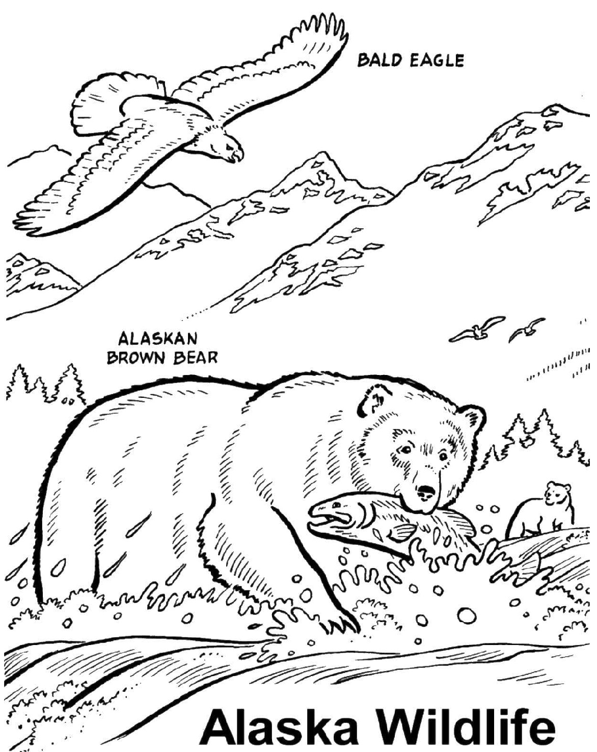Raskrasil.com-Alaska-Coloring-Pages-1
