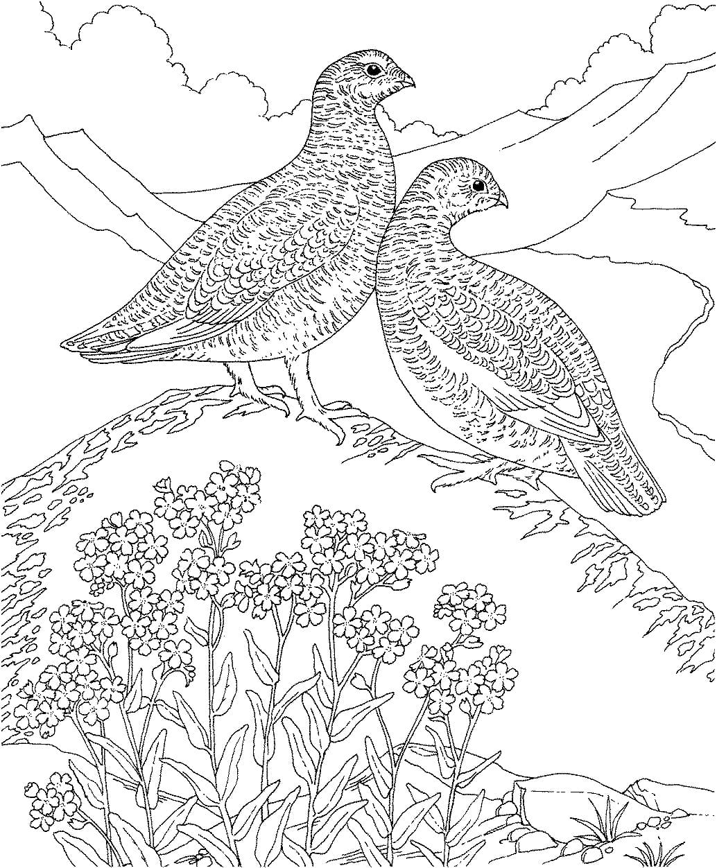 Raskrasil.com-Alaska-Coloring-Pages-10