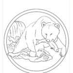 Previous Attachment
