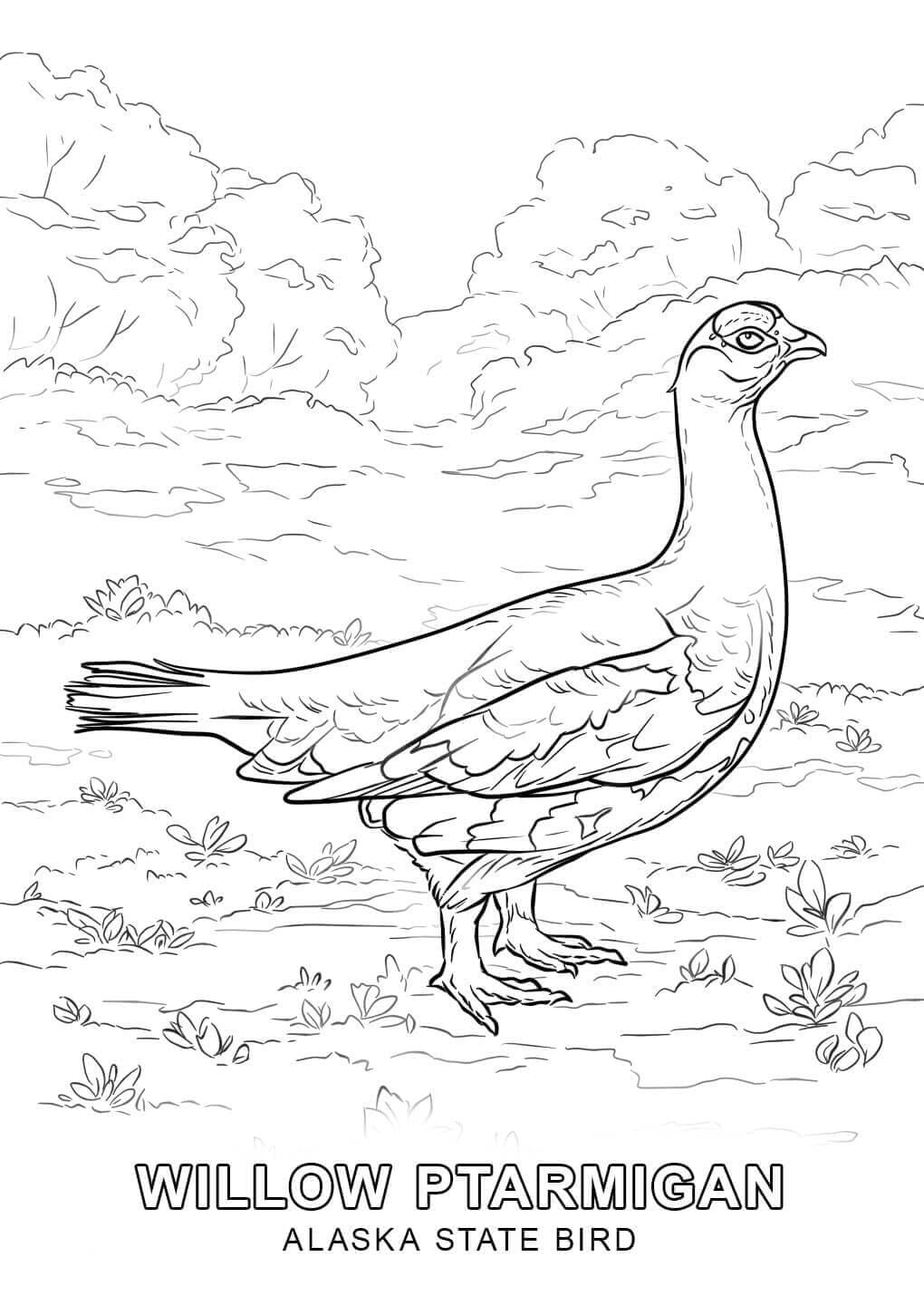 Raskrasil.com-Alaska-Coloring-Pages-13