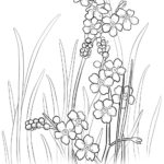Raskrasil.com-Alaska-Coloring-Pages-17