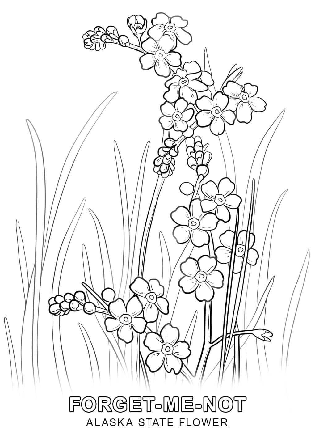 Raskrasil.com-Alaska-Coloring-Pages-17