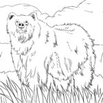 Raskrasil.com-Alaska-Coloring-Pages-18