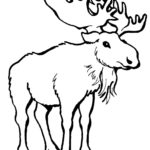 Raskrasil.com-Alaska-Coloring-Pages-19