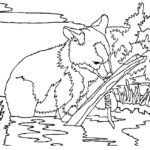 Raskrasil.com-Alaska-Coloring-Pages-23