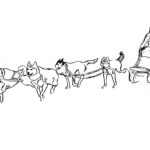 Raskrasil.com-Alaska-Coloring-Pages-24