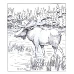 Raskrasil.com-Alaska-Coloring-Pages-34