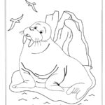 Raskrasil.com-Alaska-Coloring-Pages-43