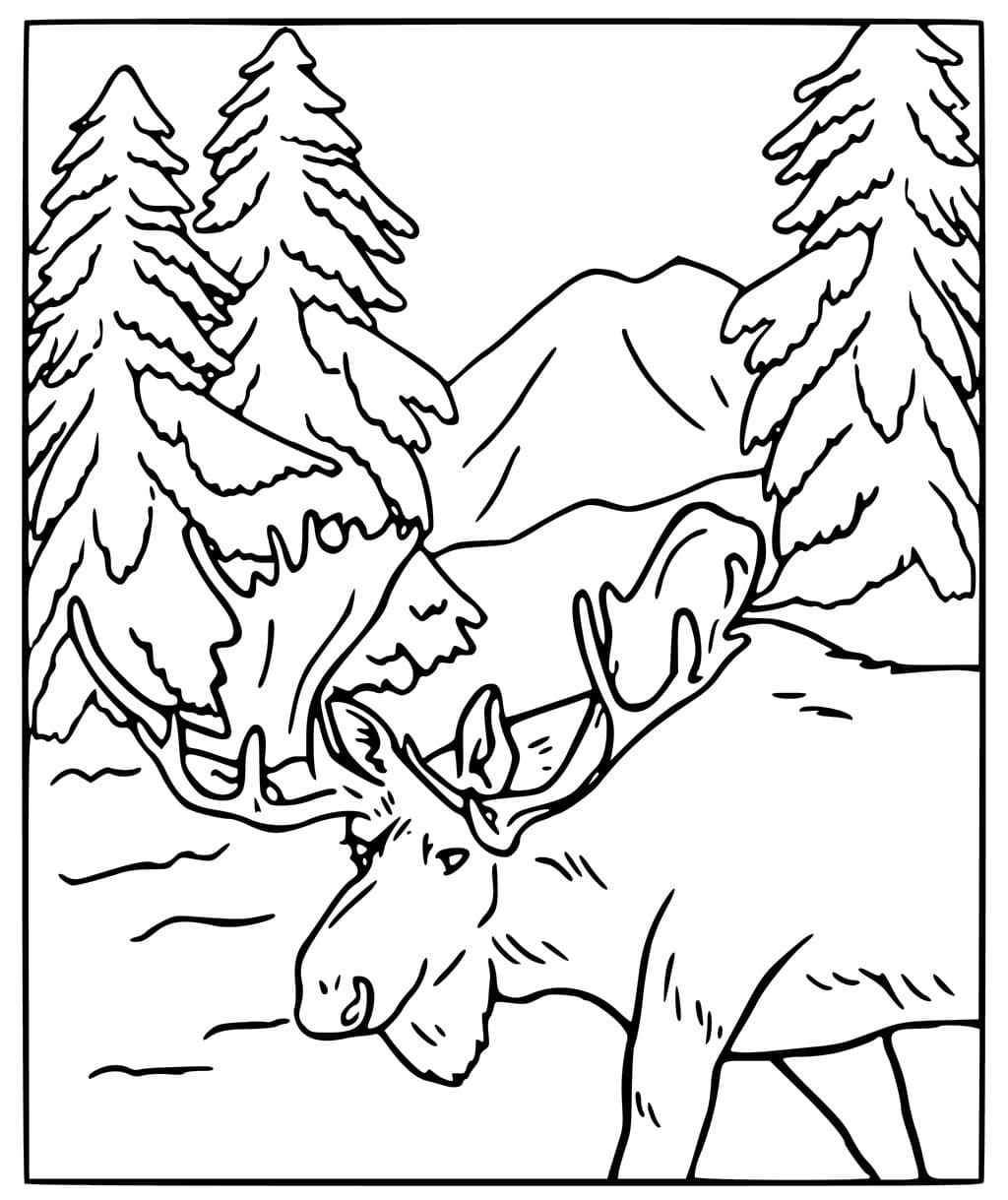 Raskrasil.com-Alaska-Coloring-Pages-46