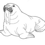 Raskrasil.com-Alaska-Coloring-Pages-49