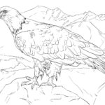 Raskrasil.com-Alaska-Coloring-Pages-5