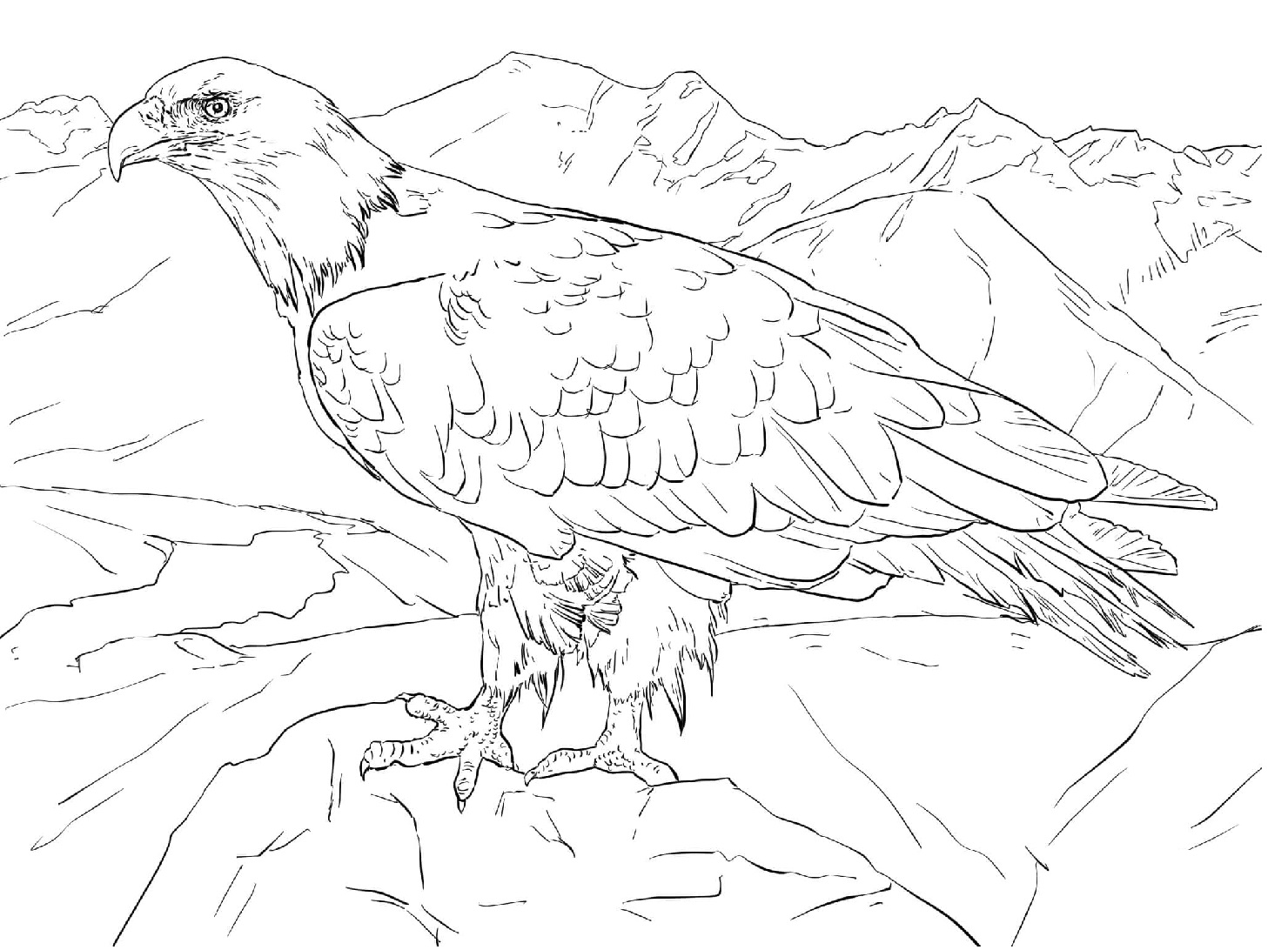 Raskrasil.com-Alaska-Coloring-Pages-5