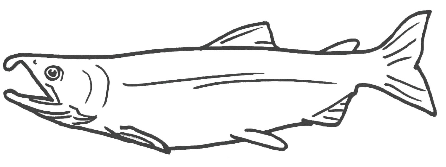 Raskrasil.com-Alaska-Coloring-Pages-54
