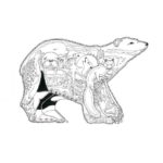 Raskrasil.com-Alaska-Coloring-Pages-60