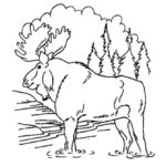 Raskrasil.com-Alaska-Coloring-Pages-61