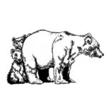 Raskrasil.com-Alaska-Coloring-Pages-63