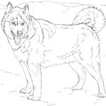 Raskrasil.com-Alaska-Coloring-Pages-65