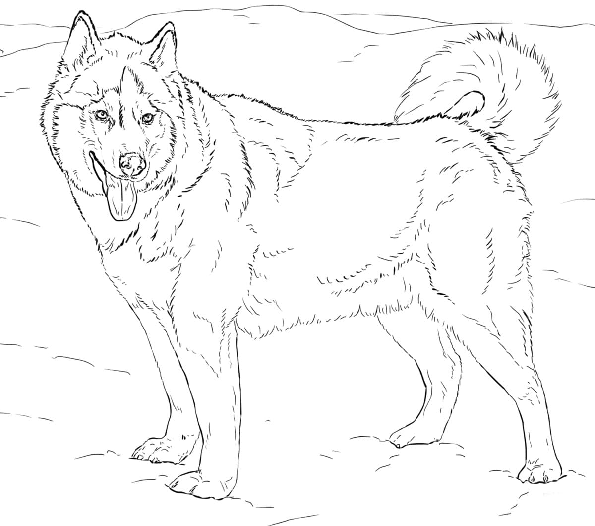 Raskrasil.com-Alaska-Coloring-Pages-65