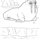 Raskrasil.com-Alaska-Coloring-Pages-68