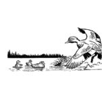 Raskrasil.com-Alaska-Coloring-Pages-76