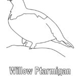 Raskrasil.com-Alaska-Coloring-Pages-77