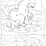 Previous Attachment