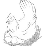 Raskrasil.com-Chicken-Coloring-Pages-12