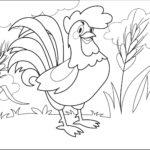 Raskrasil.com-Chicken-Coloring-Pages-15