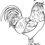 Raskrasil.com-Chicken-Coloring-Pages-17