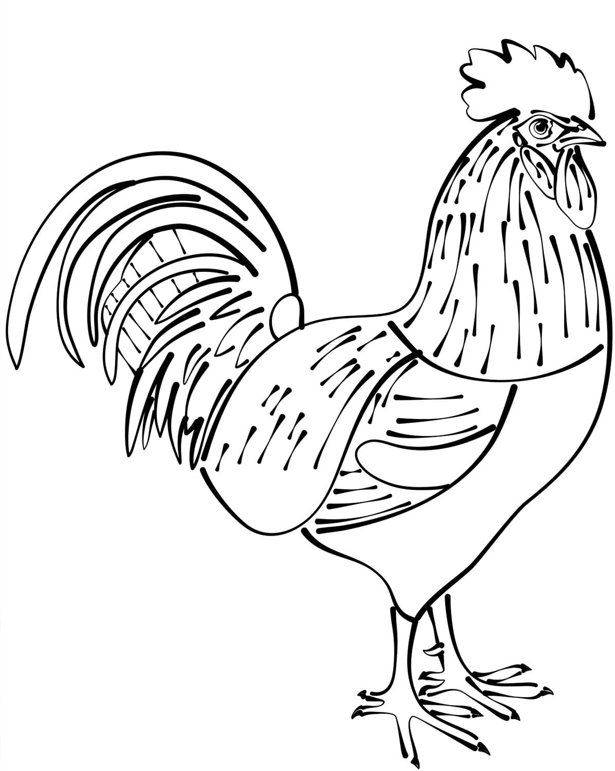 Raskrasil.com-Chicken-Coloring-Pages-17