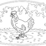 Raskrasil.com-Chicken-Coloring-Pages-19