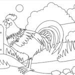 Raskrasil.com-Chicken-Coloring-Pages-23