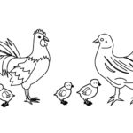 Raskrasil.com-Chicken-Coloring-Pages-31